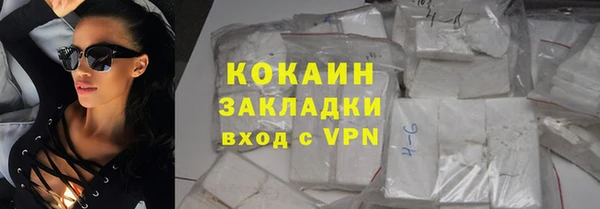 стаф Дмитров