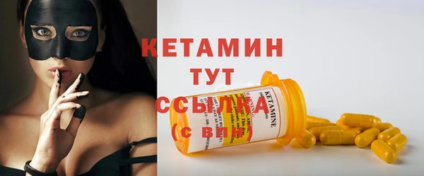 стаф Дмитров