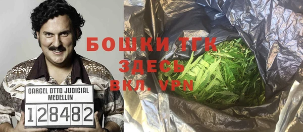 стаф Дмитров