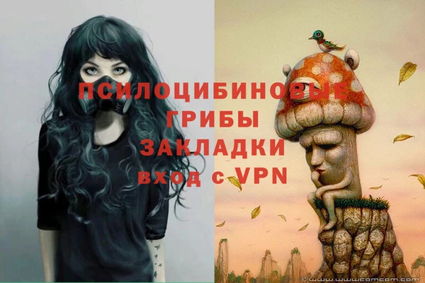 ALPHA-PVP Осинники