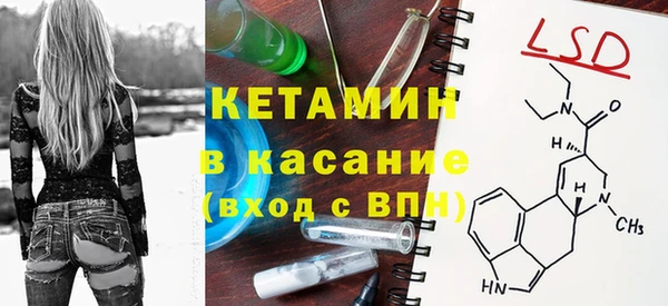 стаф Дмитров